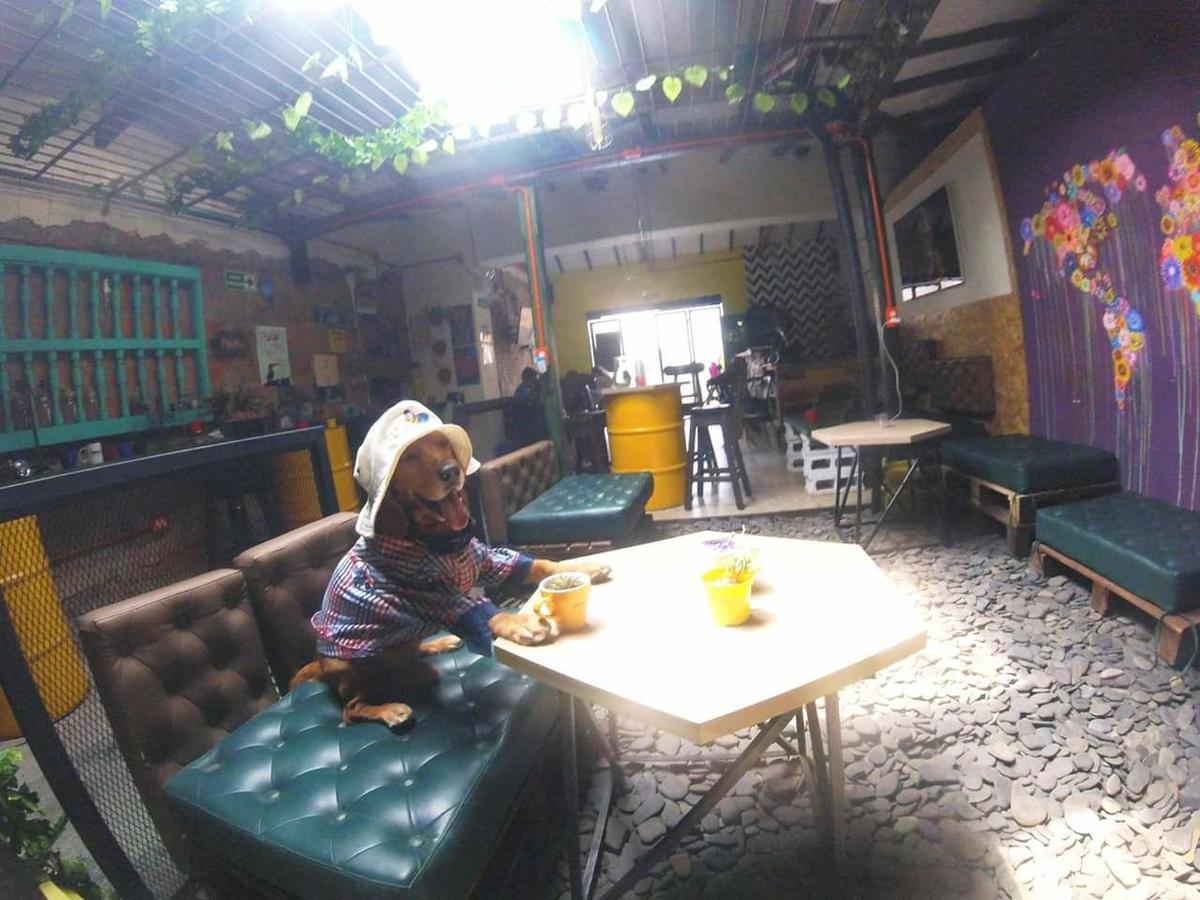 Panela Medellin Hostel Exterior foto